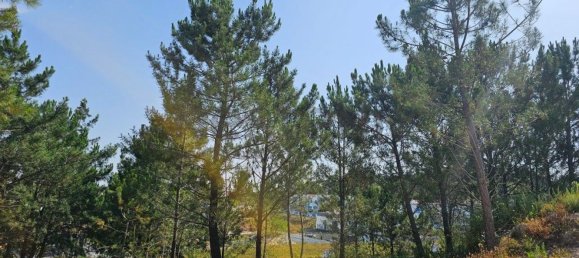 4 bedrooms House in Torres Vedras, Portugal No. 148380 49