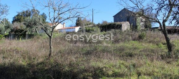 4 غرف نوم منزل في Ansiao, Portugal رقم 90304 15