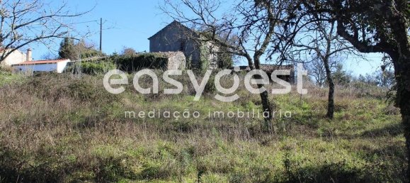 4 غرف نوم منزل في Ansiao, Portugal رقم 90304 8