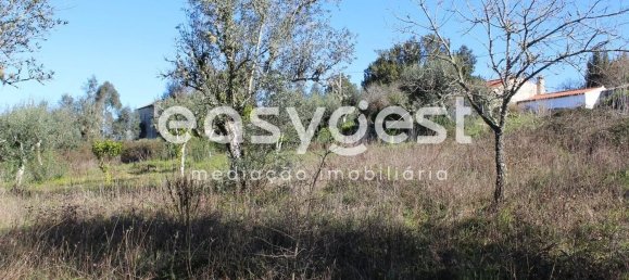 4 غرف نوم منزل في Ansiao, Portugal رقم 90304 36