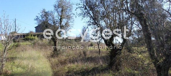 4 غرف نوم منزل في Ansiao, Portugal رقم 90304 11