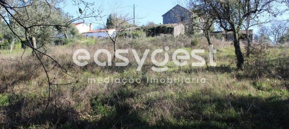 4 غرف نوم منزل في Ansiao, Portugal رقم 90304 9