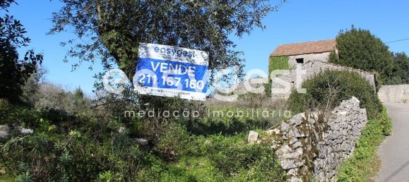 4 غرف نوم منزل في Ansiao, Portugal رقم 90304 37