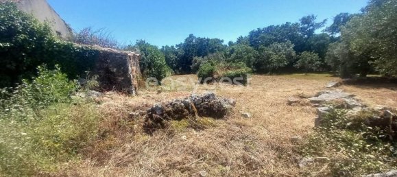 4 غرف نوم منزل في Ansiao, Portugal رقم 90304 33