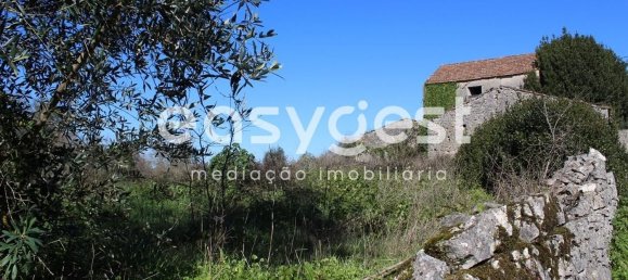 4 غرف نوم منزل في Ansiao, Portugal رقم 90304 5