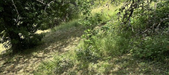 Grundstück in Rastatt, Germany, Nr. 75864 5