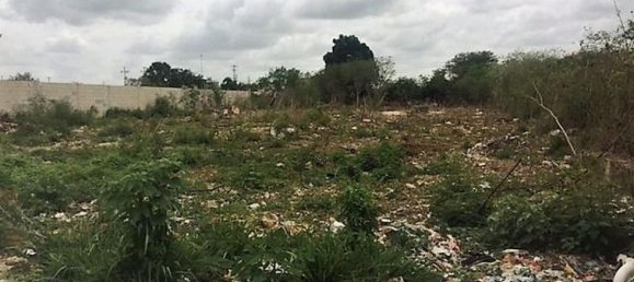 Terrain à Merida, Mexico No. 116076 2