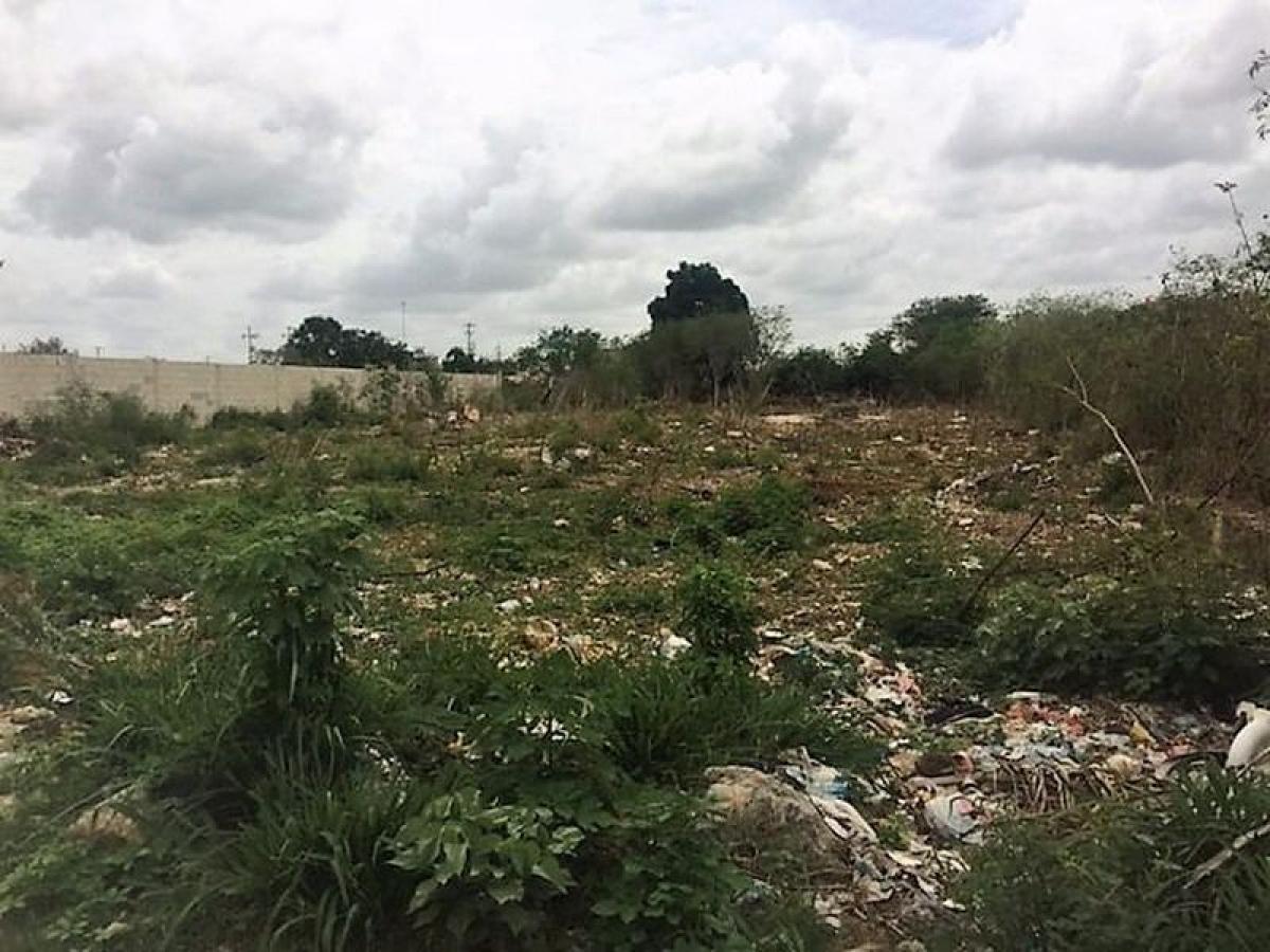 Terrain à Merida, Mexico No. 116076