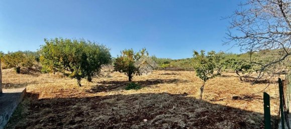 2 bedrooms House in Castellana Grotte, Italy No. 317549 18