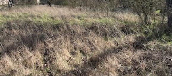  Land in Arracourt, France No. 74283 4