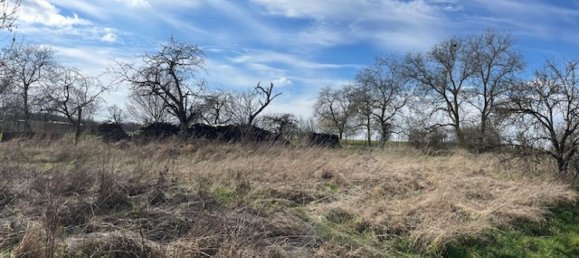  Land in Arracourt, France No. 74283 6