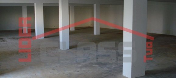 322m² Warehouse in Mirandela, Portugal No. 225117 2