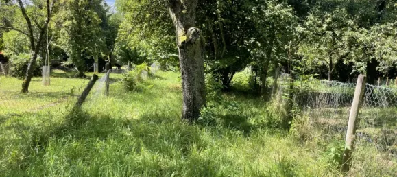 Terrain à Esslingen, Germany No. 260501 3