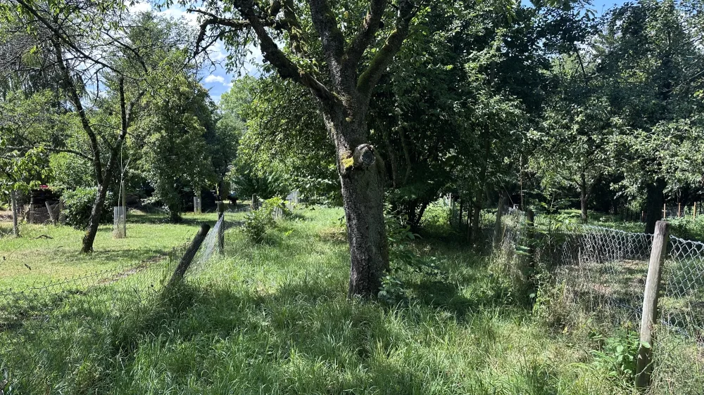 Terrain à Esslingen, Germany No. 260501