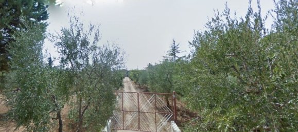 3غرفة فيلا في Corato, Italy رقم 231902 8