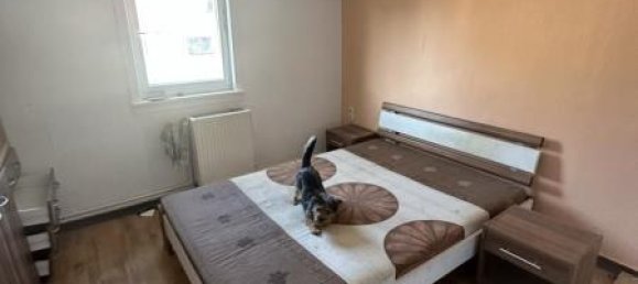 Casa de 5 habitaciónes en Schmalkalden-Meiningen, Germany No. 174927 8