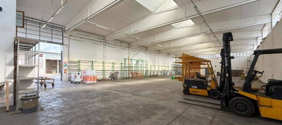 Entrepôt à Cremona, Italy 3500m² No. 289532 6