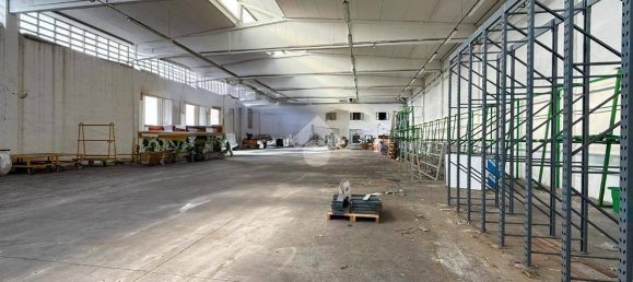Entrepôt à Cremona, Italy 3500m² No. 289532 27