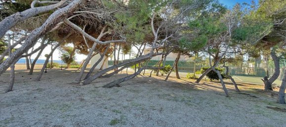 1290m² House in Cabo Roig, Spain No. 285523 5