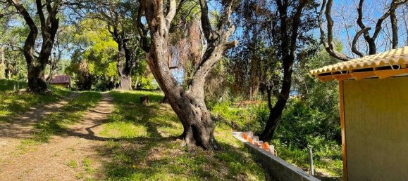 1 bedroom Commercial property in Corfu, Greece No. 2318 5