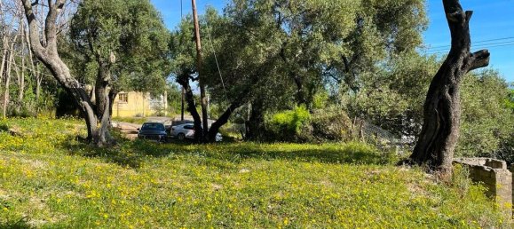 1 bedroom Commercial property in Corfu, Greece No. 2318 13