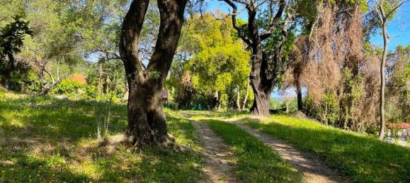 1 bedroom Commercial property in Corfu, Greece No. 2318 7