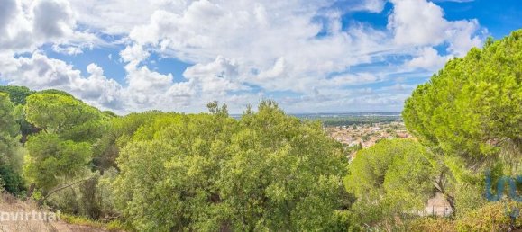 9 bedrooms House in Palmela, Portugal No. 136410 2