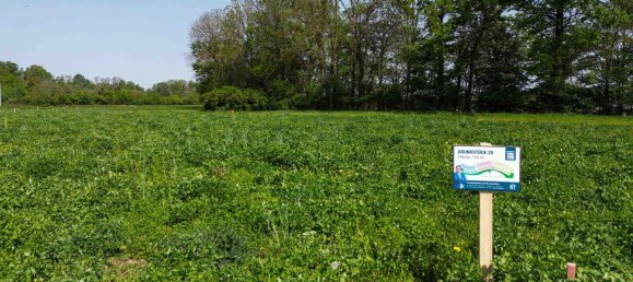 Terreno en Altheim, Austria No. 49884 3