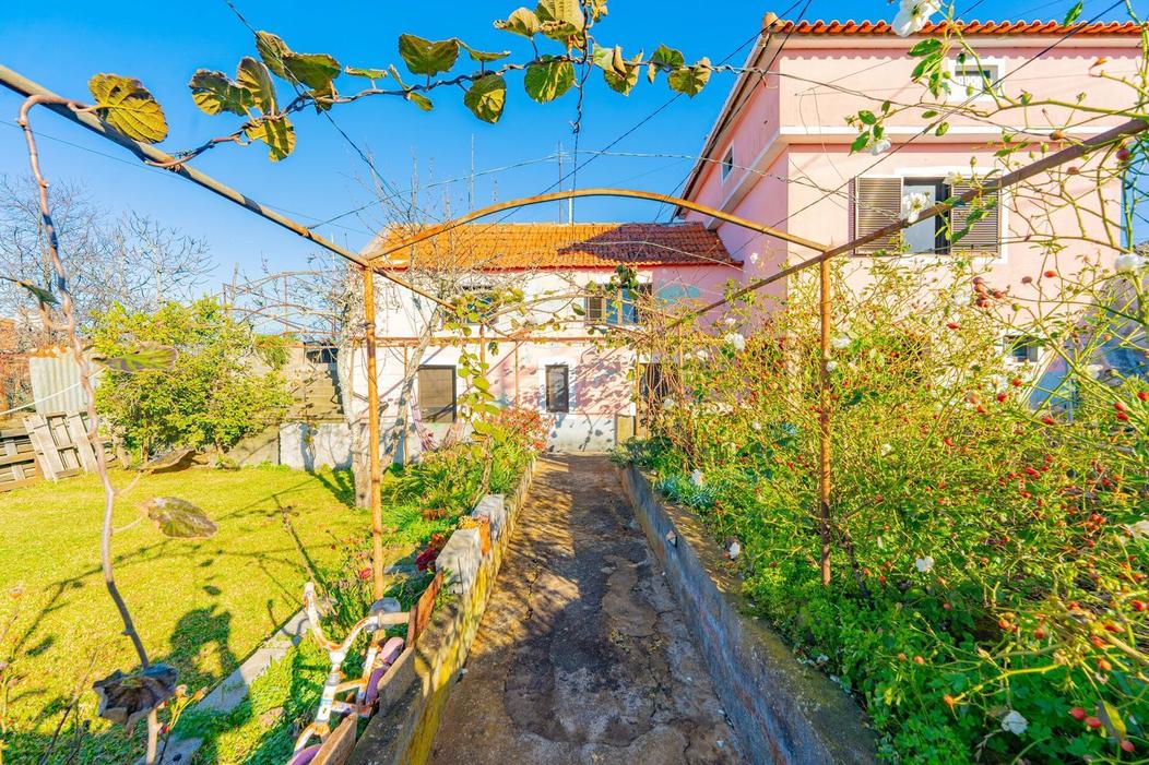 3 غرف نوم منزل في Calheta, Portugal رقم 233747