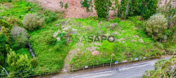 2804m² Land in Rio Meao, Portugal No. 271559 11