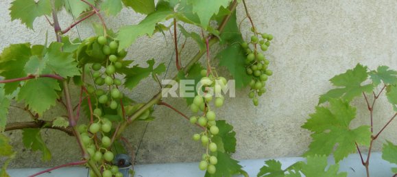 3 bedrooms House in Manche, France No. 355012 18