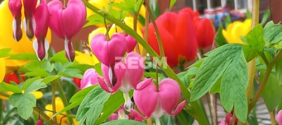 3 bedrooms House in Manche, France No. 355012 16