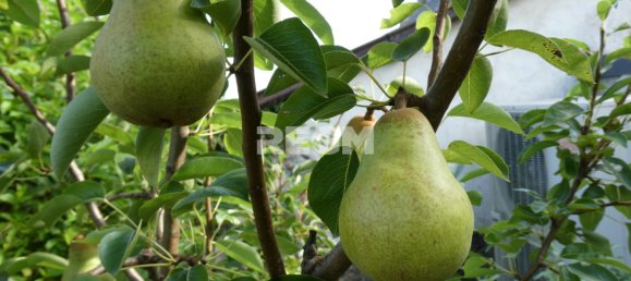 3 bedrooms House in Manche, France No. 355012 19