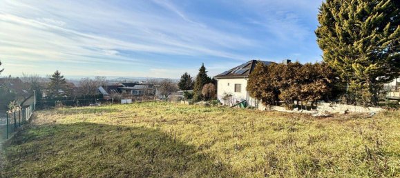  Land in Neusiedl am See, Austria No. 112957 5