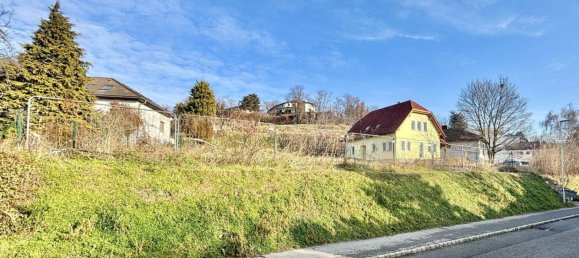  Land in Neusiedl am See, Austria No. 112957 3