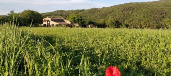 8 bedrooms House in Civitella Paganico, Italy No. 52906 2