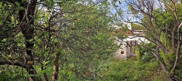 2 غرف نوم منزل في Pinhal Novo, Portugal رقم 21217 5