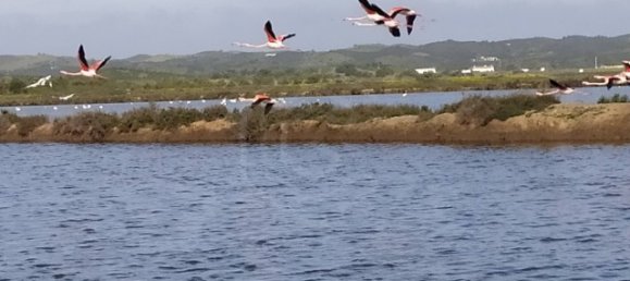 Terreno em Castro Marim, Portugal N.º 154403 32