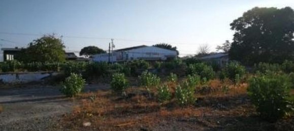 terreno en venta en Puntarenas, Costa Rica № 1941 4