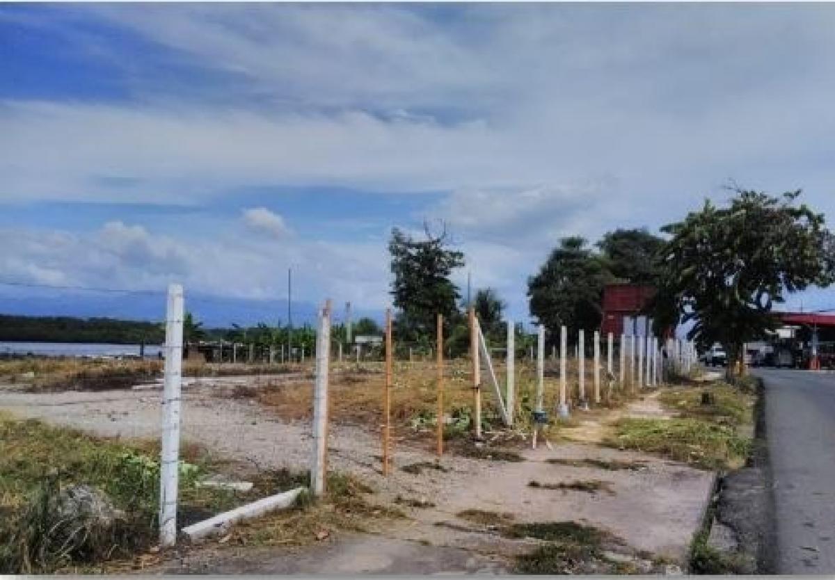 terreno en venta en Puntarenas, Costa Rica № 1941