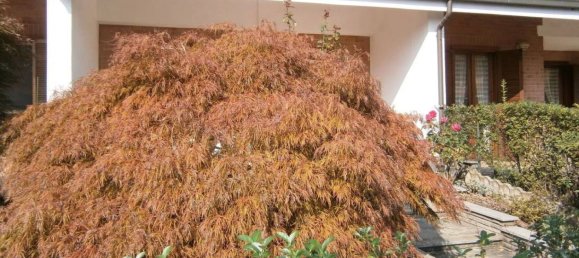 7 غرف نوم فيلا في La Loggia, Italy رقم 326818 43