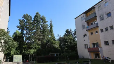 4-Zimmer Wohnung in Leonding, Austria, Nr. 244051