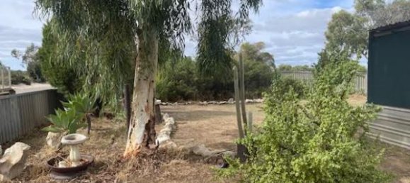 3 chambres Maison à Eneabba, Australia No. 740 2