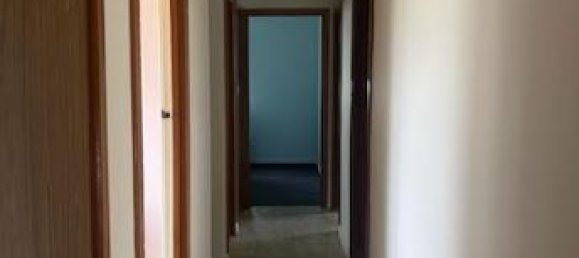 3 chambres Maison à Eneabba, Australia No. 740 5