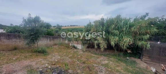 1 bedroom House in Beja, Portugal No. 31235 7