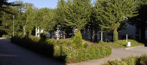 Дуплекс с 1 спальней в Даме-Шпревальд, Германия № 61081 6