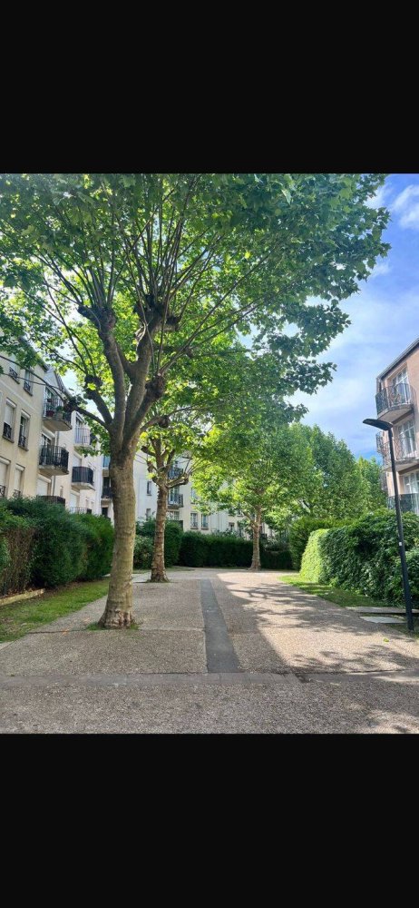 1 bedroom Apartment in Saint-Brice-sous-Foret, France No. 333909