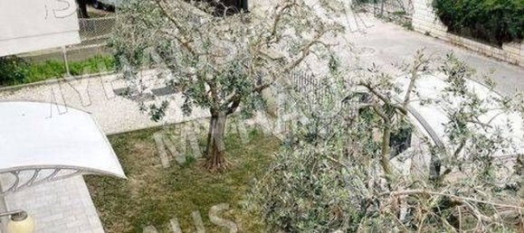 Casa de 4 habitaciónes en Gatteo, Italy No. 101291 2