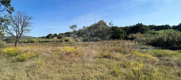 2 غرف نوم منزل في Santarem, Portugal رقم 171206 4