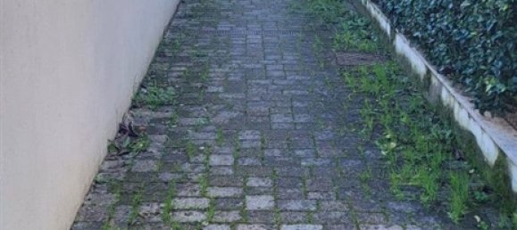 5 bedrooms Villa in Montignoso, Italy No. 316752 7